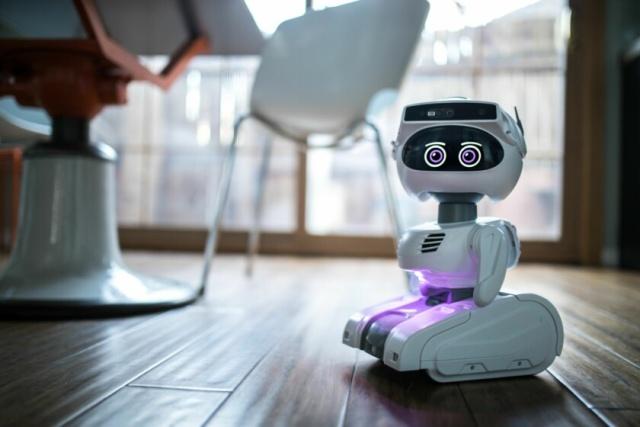 CES 2019机器人展区 智能机器人的未来之路